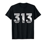 Detroit 313 Area Code - Michigan Co.