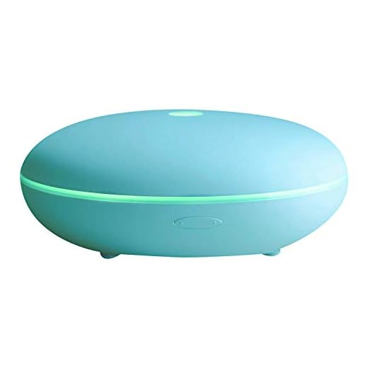 Smiley Daisy Essential Oil Diffuser, Quite Cool Mist Humidifier, 350 ml