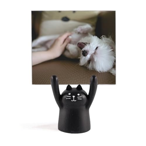 ybĝ킢ʐ^ J[gD[LX^h^z_[