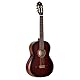 Ortega Guitars 4/4 Konzert Gitarre – Mit Armrest – Student Series Pro – Massive Engelmann Fichte, Katalpa, Mehrfarbig (R55DLX-BFT)