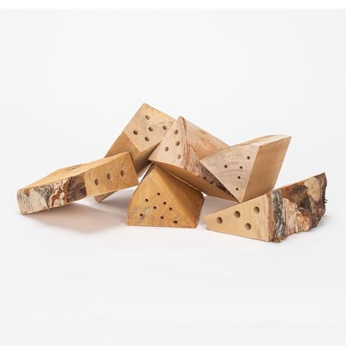 GARDIGO® Nistholz Nachfüllpack - 6 Stück | Insektenhotel Füllmaterial für Bienenhotels | Nisthölzer Insektenhäuser | Holzklotz mit verschiedenen Bohrungen als Nisthilfen für Wildbienen