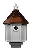 NC Birdguy Bluebird Songbird Duplex Bird House with Copper Roof, Made in The USA