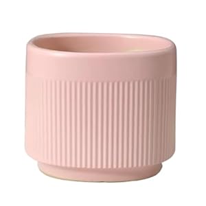 Yrtaweo32A Keramik Pflanzkübel ronghui2025 Rosa