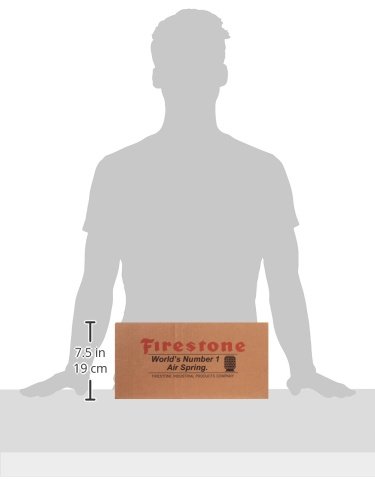 image for Firestone 9126 2 Gallon 2 Port Air Tank, silver, 2 Ports