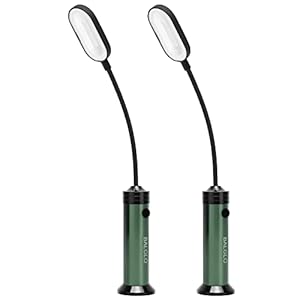 BALGLO LED grill lights Accessories for Outdoor grilling Magnetic Base 360 Degree Flexible Gooseneck BBQ Lights Gifts for Men Women father Set of 2, Green
