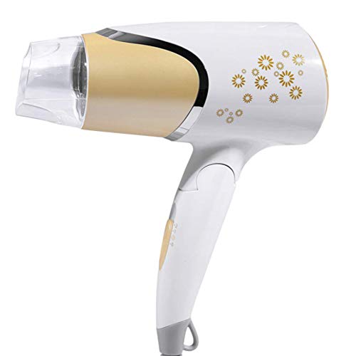 1600 Watt Professionell Ionen-Haartrockner Salon Fön Testsieger klappbar reiseföhn Mit Leistungsstarker Und Langlebiger Motor Trockner,001