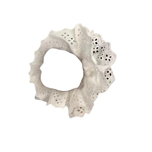 VV wAS S {[ wAANZT[ 傫  l  fB[X GKg  ÓdCh~ ɗD Mtg (zCg,2w)