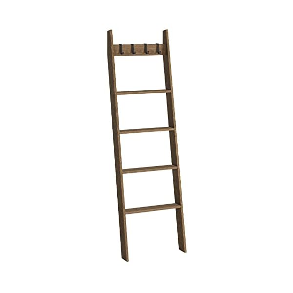 HOOBRO Blanket Ladder, Wall Leaning Blanket Rack, 5 Ft, 5 Tier Farmhouse Ladder Shelf, Towel Rack, Decorative Quilt Rack, Removable Hooks, Living Room, Bedroom, Bathroom, Mocha BR51CJ01 HOOBRO Blanket Ladder, Wall Leaning Blanket Rack, 5 Ft, 5 Tier Farmhouse Ladder Shelf, Towel Rack, Decorative Quilt Rack, Removable Hooks, Living Room, Bedroom, Bathroom, Mocha BR51CJ01