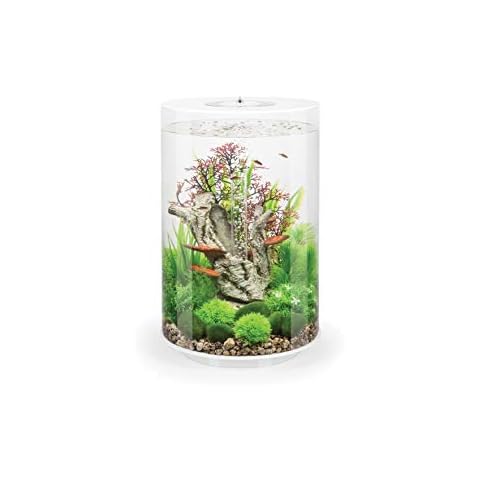 biOrb 72067 TUBE 30 LED, weiß - 360-Grad Deko-Aquarium | Komplett-Set aus Acryl-Glas Cover