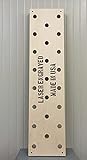 Plyobox Warehouse 12'x48' Climbing Pegboard, Custom Engraving Options Climbing peg Board, MMA...