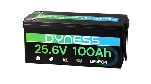Dyness Batería Litio 24V 100Ah LiFePO4 con BMS 100A