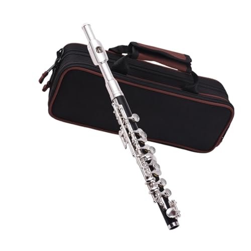 C Key Piccolo InstrumentsABS`[uzCgVo[bLS҃Agt[gɍœK