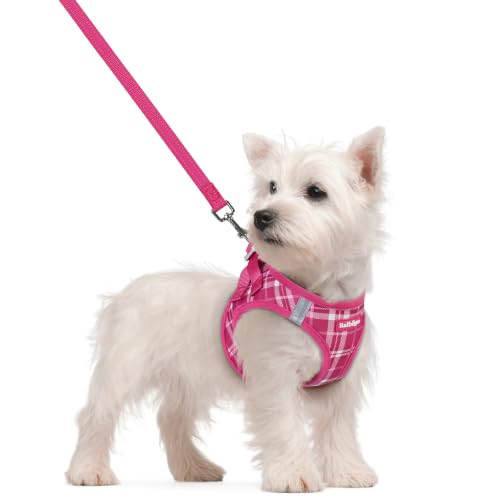 Image of rabbitgoo Dog Harness Small Sized and Leash Set, Step-in Puppy Pet Vest