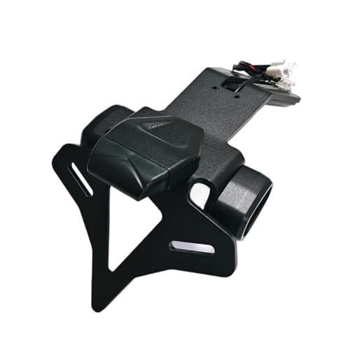 Support de plaque ZX10R pour sorties piste et virées du week-end