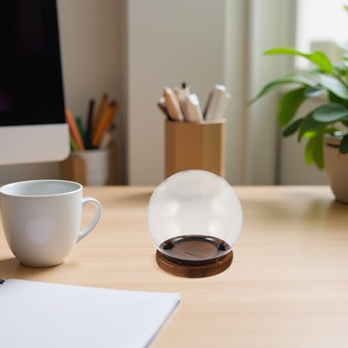 Cloche de vidrio para decoración del hogar y centros de mesa de boda 4