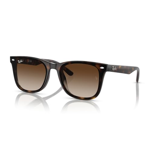 Ray-Ban RB4420 Sunglasses, Havana/Brown Gradient, 65 mm