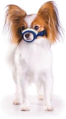 chihuahua muzzle amazon