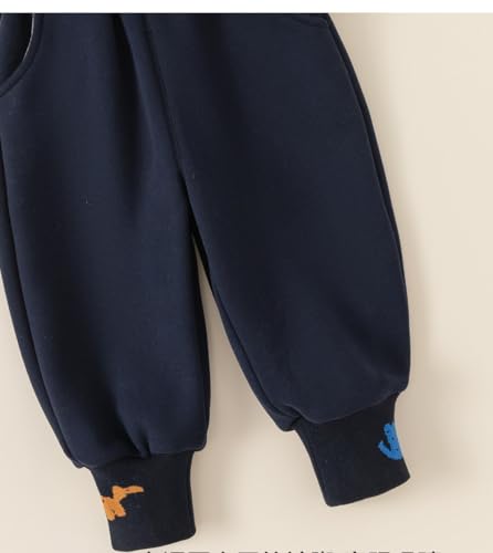 Meufam Toddler Boy Cartoon Dinosaur Embroidered Sweatpant Solid Color Sport Jogger Cotton Active Playwear Fleece Lined Pants4
