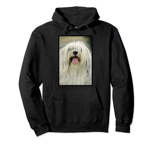 Shaggy Dog Pullover Hoodie, Black