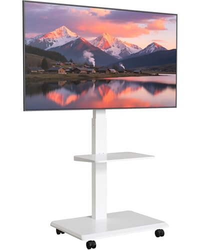ECOTINY TV Ständer Rollbar aus Stahl für 37-75 Zoll Fernseher bis zu 50kg, Schwenkbar Fernsehständer Höhenverstellbarer mit Ablage, TV Bodenständer mit Versteckter Kabelverwaltung, VESA 600 x 400mm