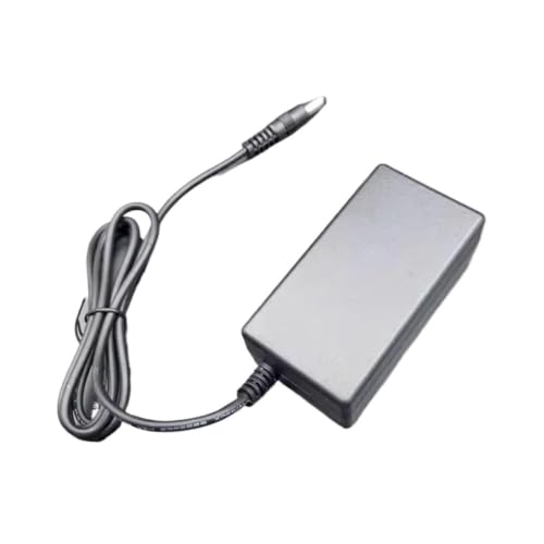 Cargador universal 25V 1A 25W para altavoces y luces LED con cable AU 4