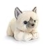 Keel Toys Gatitos de Caricias (Blanco)