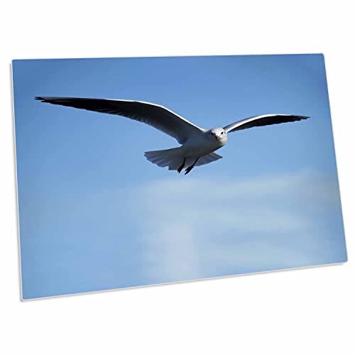 3dRose Animals Foto - Mouse Pad para Escritorio