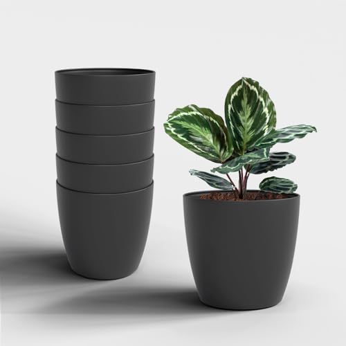 Image of YUCCABE ITALIA SHERA Stella 6 Inch Plastic Plant Pot for Home Decor Indoor Plant Pots for Living Room Plastic Flower Pot for Garden (Grey, 6 INCH - 6 Pcs)