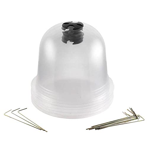 TERRE JARDIN Cloches à salades Plastique - Lot de 6