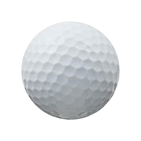 100 MARKEN MIX LAKEBALLS / GOLFBÄLLE – QUALITÄT AAA / AA – IM NETZBEUTEL