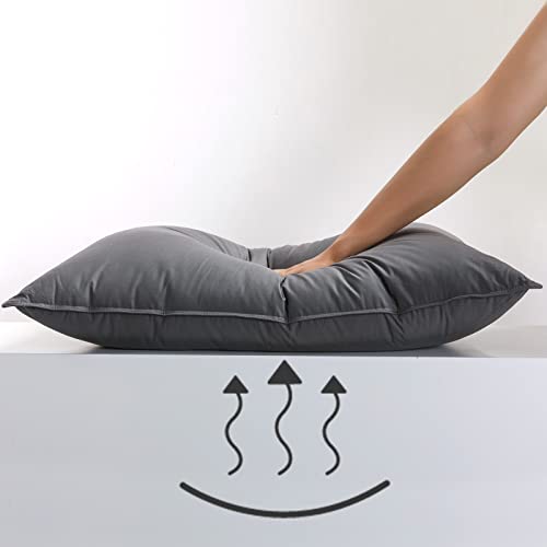 Gray Goose Down Feather Pillow - Suitable for Side and Back Sleepers,100% Cotton Fabric,Goose Down and Feather Hotel Collection Sleeping Pillows - Queen Size(1 Pack) Gray Goose Down Feather Pillow - Suitable for Side and Back Sleepers,100% Cotton Fabric,Goose Down and Feather Hotel Collection Sleeping Pillows - Queen Size(1 Pack)