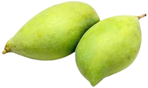 Image of Fresh Mango Totapuri 1 Kg (2-5 pcs).