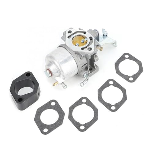 Carburateur pour GM291 GM301 remplace 715668 715443 pièce moteur de rechange