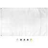 Amazon.com : FRF Solid White Flag 3x5 Ft, 210D Nylon Blank DIY Flag ...