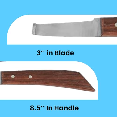 Image of Hoof Knife Single Sided Edge Wide Straight Blade - Stainless Steel Straight Blade Farrier Tool with Wooden Handle, Multipurpose Hoof Trimming Knife for Livestock, 3-Inch Blade, 8.5-Inch Overall