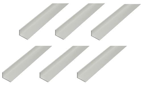 Alberts Juego de 6 perfiles angulares, aluminio, color plateado anodizado, 2000 x 40 x 10 mm