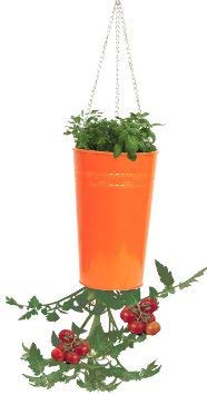 Houston International Trading 8398E TA Enameled Galvanized Upsidedown Tomato44; Pepper Hanging Planter - Tangerine