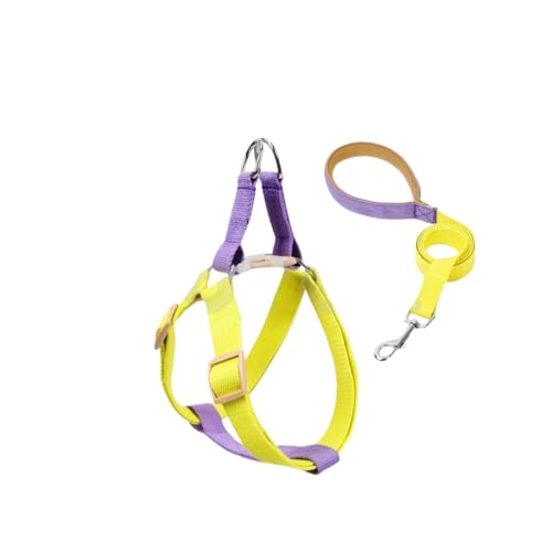  n[lX [h Zbg ^ ^ ^    Jt n[lX[h _uO v 2_Zbg ybg COTEN (C^Cv, M)