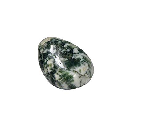 Agate d'arbre naturelle 68,8 Ct pour harmoniser votre espace de vie