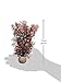 biOrb Sea Fan Small Crimson