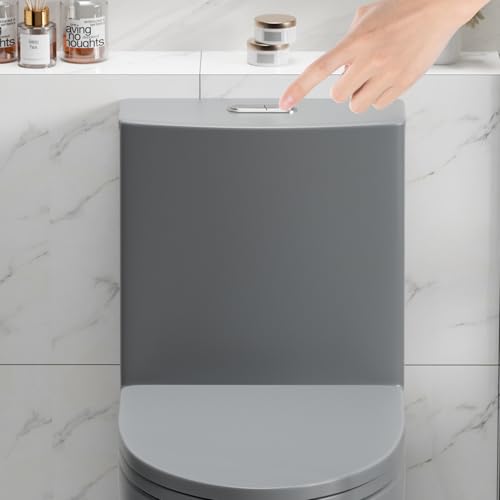 Inodoro de una pieza, con doble descarga, alargado, altura para silla y ADA, asiento de cierre suave, trampa S de 12 pulgadas, descarga por sifón de 1.1/1.6 GPF, accesorio de baño mate miniatura 6
