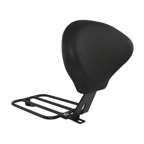 Porte-bagages support dossier conducteur Eliminator 500 SE 2024-2025