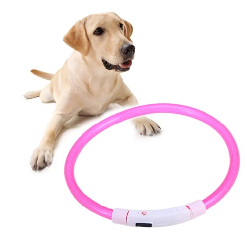 Comparaison avec d'autres colliers lumineux LED