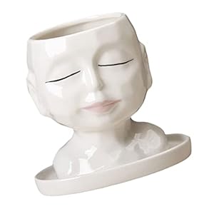 HANABASS 1Pc Bonsai Bloempot Houder Abstract Succulent Tuin Planter Decoraties Gezicht Beeldje Vormige Cactus Kunst Vaas…