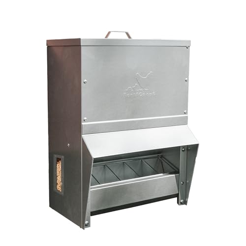 RentACoop Chicken Feeder