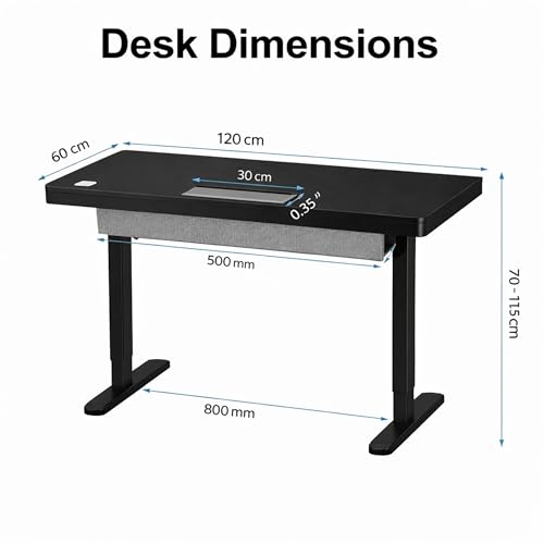 Image of H25 Electric Height Adjustable Desk with Wireless Charging, USB & Type-C Ports, Storage Drawer| Child Safety Lock | Sit-Stand Office Table, Black Top & Black Frame, 3-Year Warranty | DIY