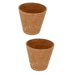 CORHAD 2 Stks Succulent Geel Kantoor Huishouden Patio Stijl Potten Decor Plantenbakken Decoratieve Indoor Bonsai…