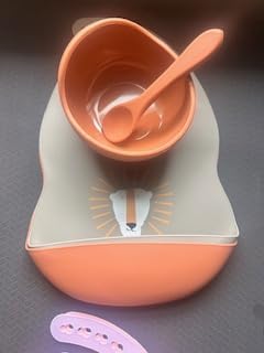 Waterproof Sage lion Bib Toddler Silicone Baby Feeding Set with bowl and spoon2