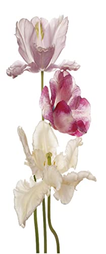 A.Monamour Sticker Porte Autocollant Poster De Porte 3D Fleurs De Tulipes Multicolores Sur Fond Blanc Vinyle Affiche De Porte Sticker Mural Papier Peint Art...