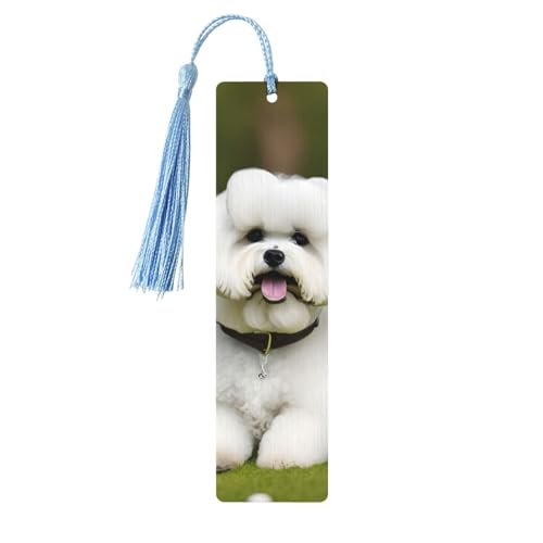 킢rVt[[vgǏy[W}[J[ubN}[NA^bZtؐubN}[N5A{Dւ̃MtgB